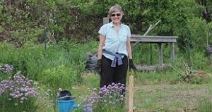 Vegetable Garden